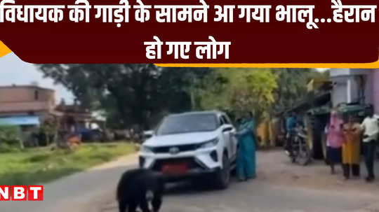 kanker news a bear came in front of the mla convoy see what happened next