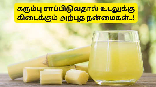 Sugarcane Health Benefits: கரும்பு சாப்பிட்டால் கல்லீரல் ஹெல்தியா இருக்குமாம்.. ஆயுர்வேதம் சொல்றதை கேளுங்க..!