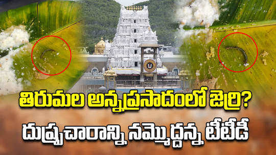 ttd clarity on rumours about jerri in srivari annaprasadam at madhava nilayam