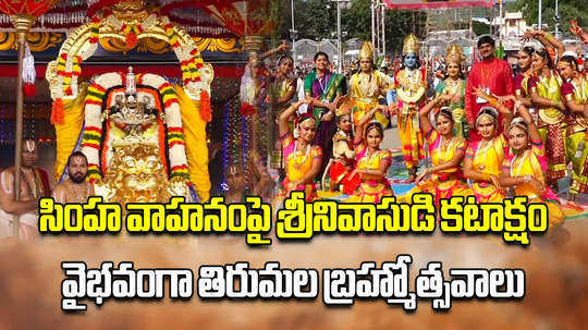 tirumala malayappa swamy blessed devotees on ferocious simha vahanam on third day of brahmotsavam