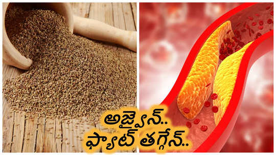 Ajwain for Weight loss : వాముని ఈ వంటల్లో వేసి వండితే కొలెస్ట్రాల్ వెన్నలా కరుగుతుంది