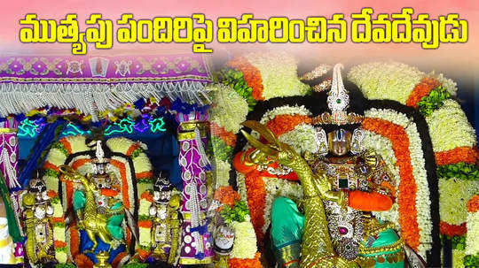 srivari brahmotsavam muthyapu pandiri vahana seva in tirumala