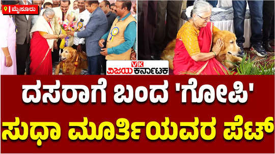 pets show in mysuru dasara 2024 rajya sabha mp sudha murthys dog golden retriever gopi spotlight