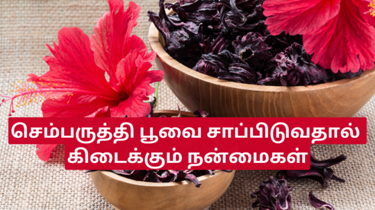 இதயம் முதல் சிறுநீர்ப்பாதை தொற்று வரை சரி செய்யும் செம்பருத்தி.. எப்படி சாப்பிடணும்?