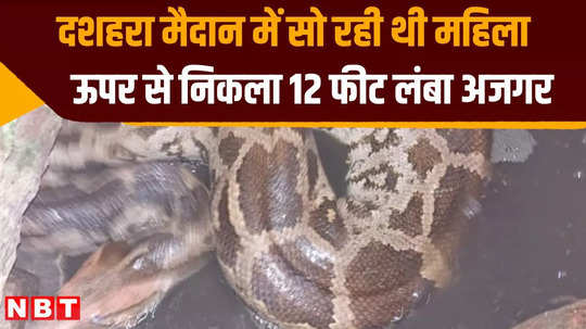 12 feet long python came out from above a woman in kota dussehra ground