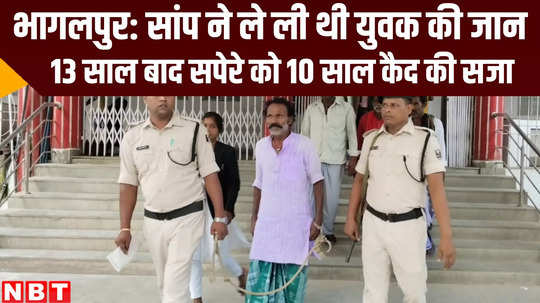 bihar court give 10 year imprisonment to snake charmer on death of youth 13 years ago