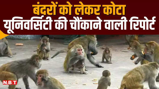 kota university research shocking claim on monkeys