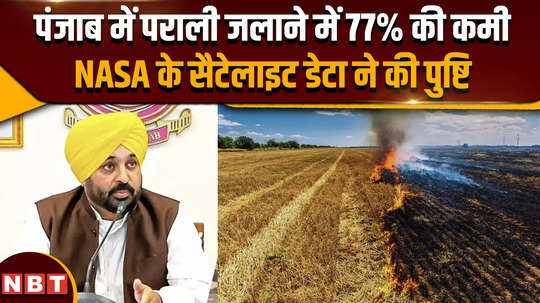 stubble burning in punjab 77 reduction in stubble burning confirmed by nasa satellite data