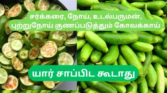 சர்க்கரை நோய், உடல் பருமன், புற்றுநோய் வரை குணப்படுத்தும் கோவக்காய் - யார் மட்டும் சாப்பிட கூடாது