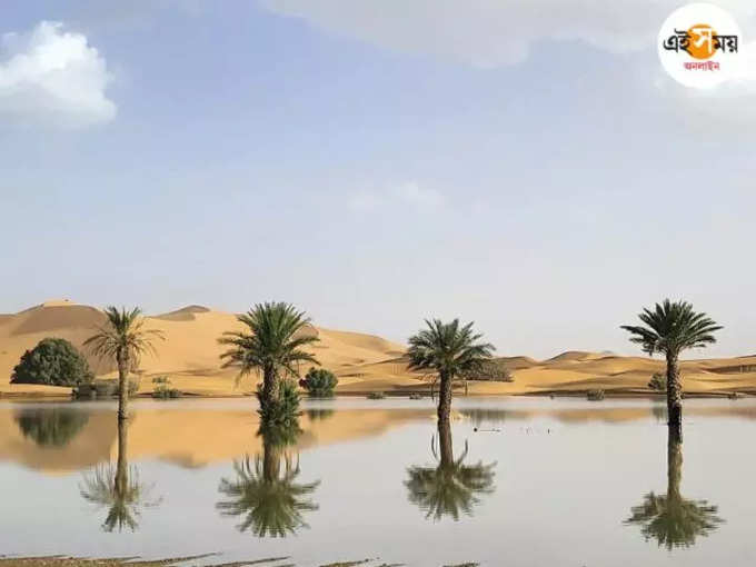 sahara desert flood