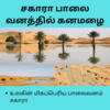 சகாரா பாலை வனத்தில் கனமழை