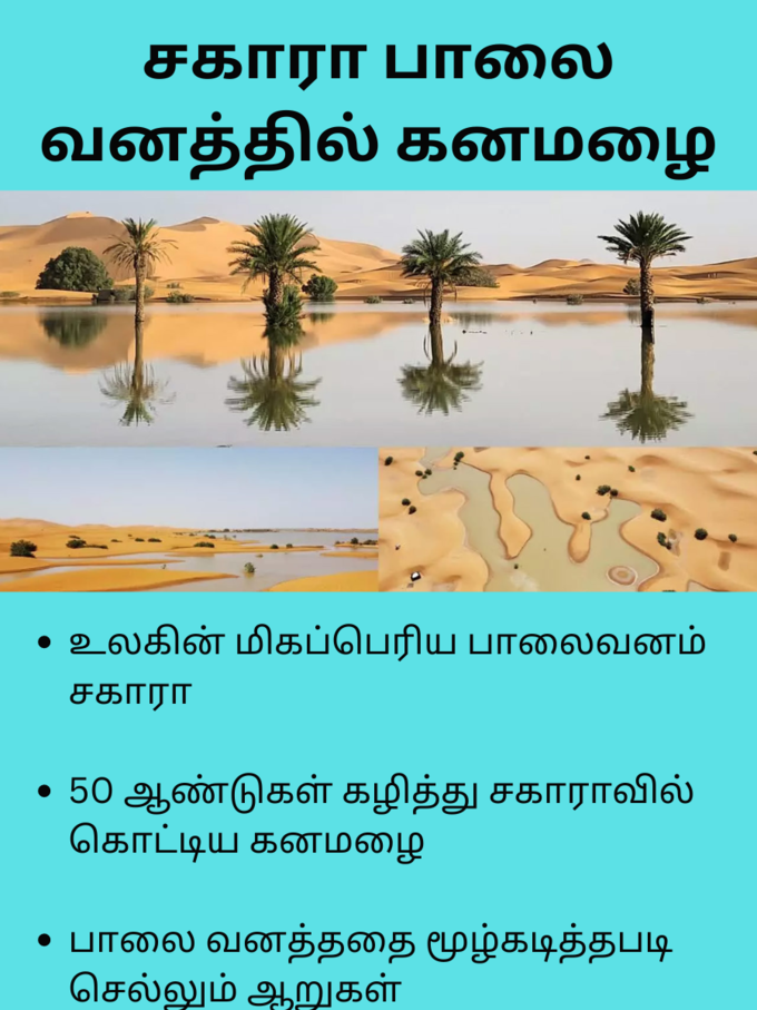 சகாரா பாலை வனத்தில் கனமழை