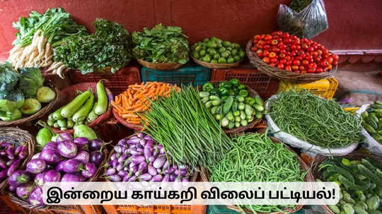 அக்டோபர் 12: இன்றைய காய்கறி விலைப் பட்டியல்.. பொது மக்கள் கவனத்துக்கு!