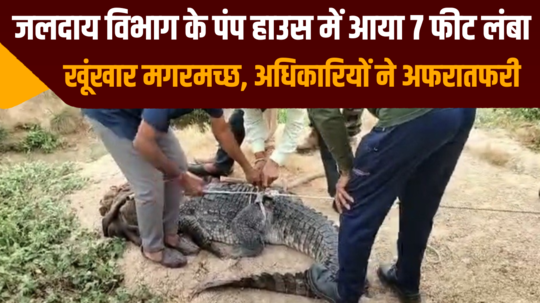 7 feet long dangerous crocodile entered the pump house of the water supply department