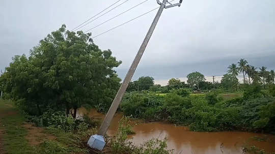 கரூரில் தொடர் மழை: சாய்ந்த மின்கம்பங்கள்... சாலையில் செல்லும் மக்கள் அச்சம்!