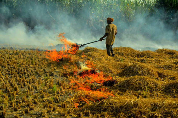 पराली बढ़ा रहा प्रदूषण