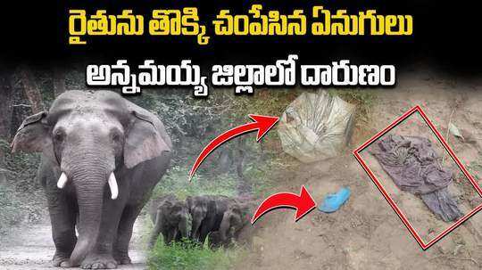 farmer raja reddy trampled to death by a tusker in andhra pradesh chittoor district