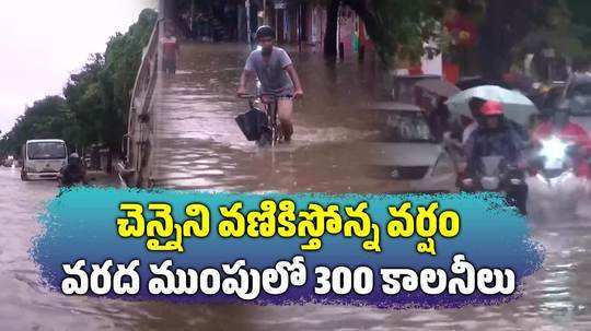 tamil nadu chennai receives more rainfall than normal in october during northeast monsoon