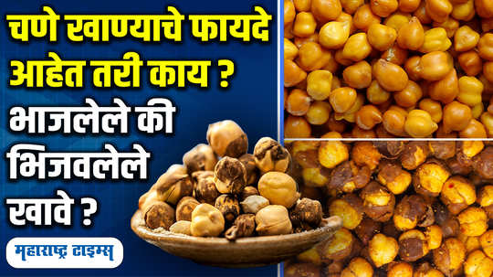 how to consume chana for weight loss and more chana health benefits fitness tips in marathi watch video