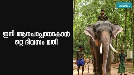 forest department with oneday course to become an elephant mahout