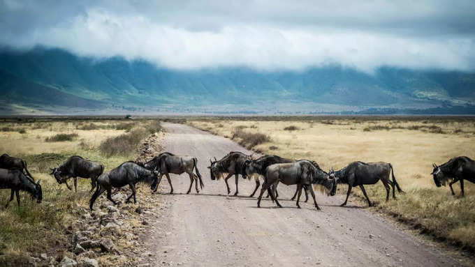 किलीमंजारो: अफ्रीका की सबसे ऊंची चोटी 