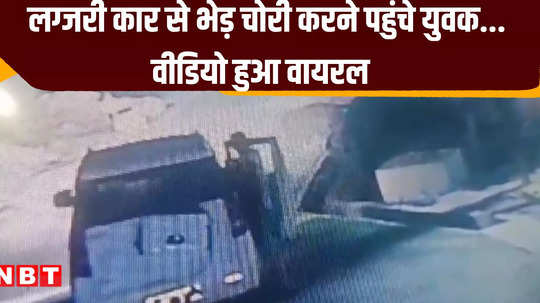 satna news four miscreants stole a sheep video of the incident surfaced