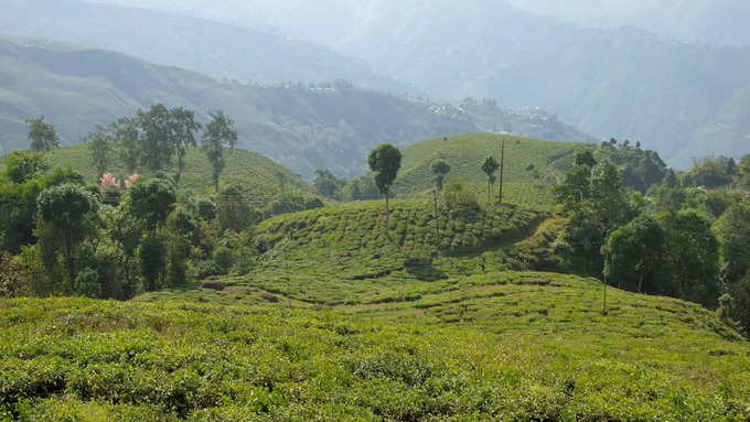 रानीखेत