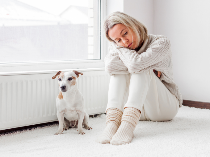 dog alone sad depression