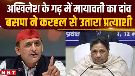 bsp played a bet on akhileshs karhal seat mayawati fielded shakya candidate