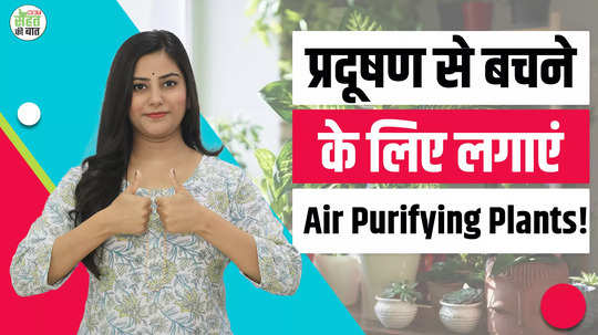 these air purifying plants will save you from diwali pollution plant them in your home today