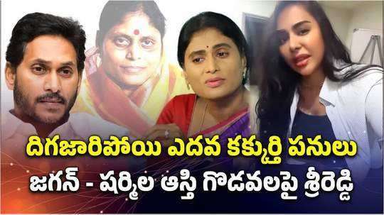 sri reddy respond on ys jagan sharmila property dispute