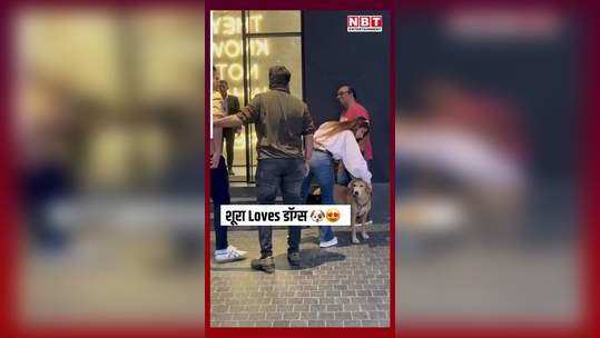 arbaaz khan wife sshura khan showered her love on a dog people are liking this video very much