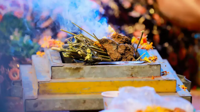 ಯಾಗ, ಯಜ್ಞಗಳನ್ನು ನಡೆಸುವುದು