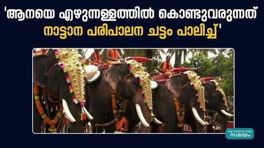 palakkad elephant lovers group reacting to the issue of elephant