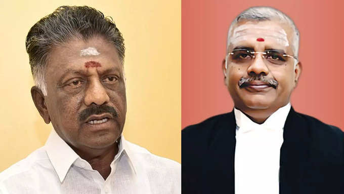 Judge Anand Venkatesh  O Panneerselvam