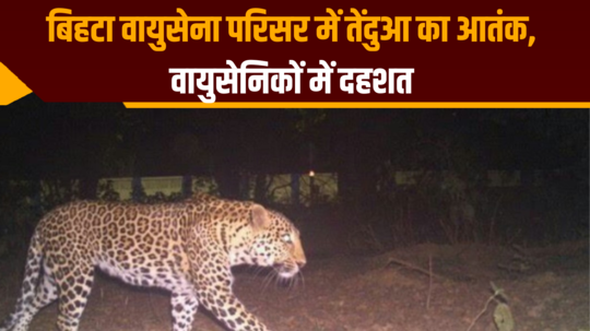 leopard terror in bihta air force complex panic among airmen