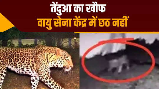 chhath puja disrupted due to fear of leopard arghya will not be offered in the sun temple located at bihta air force center bihar