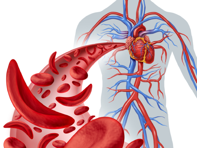 blood hemoglobin