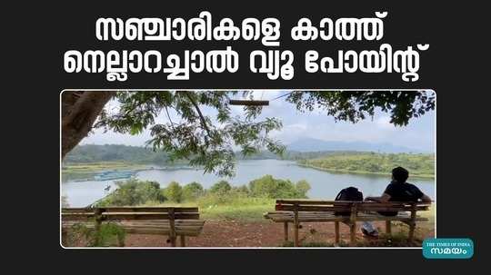 about nellarachal view point in wayanad