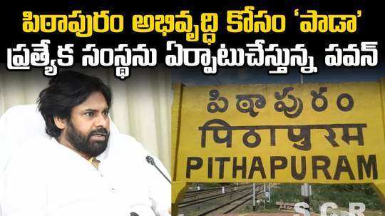 andhra pradesh deputy cm pawan kalyan announced pada for pithapuram development