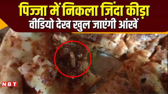 live insects in pizza this video will open the eyes of fast food lovers mp news