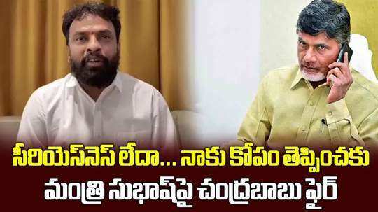 ap cm chandrababu naidu serious on minister vasamsetti subhash audio viral