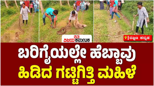 indian rock python rescued by lady in puttur sullia region video viral