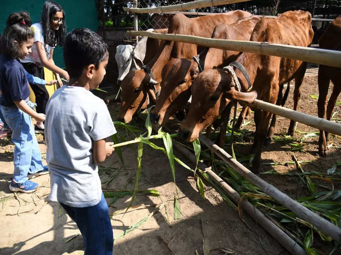 <strong>अब करोड़ों का कारोबार</strong>