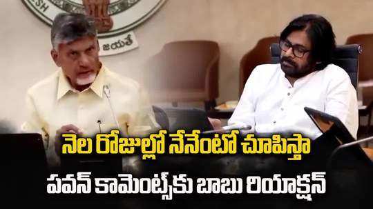 cm chandrababu discussed on law and order in ap cabinet meeting