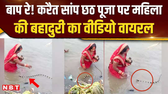 a poisonous snake came in front of a woman during chhath puja the video of what happened next is viral