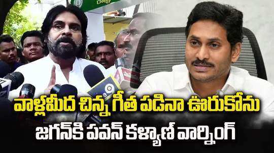 andhra pradesh deputy cm pawan kalyan comments on ys sharmila security