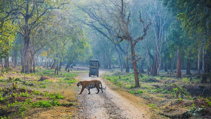 सरिस्का नेशनल पार्क 