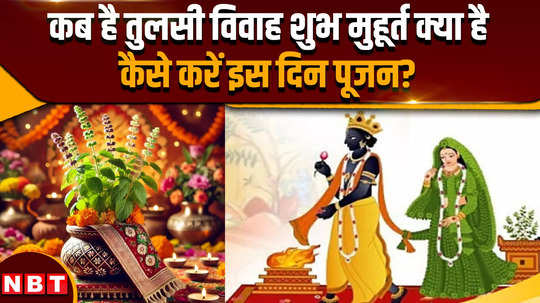 tulsi vivah date 2024 what is the auspicious time for tulsi vivah know the right time and method of worship