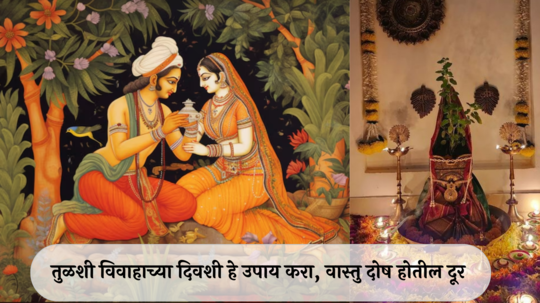 Tulsi Vivah 2024 Vastu Upay : तुळशी विवाहाच्या दिवशी करा हे खास उपाय! वास्तु दोष होतील दूर, श्रीविष्णूची राहिल कृपा